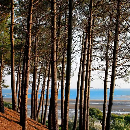 Spacieux T3 Au Centre D'arcachon, 3 Etoiles, Proche Et Commerces, Ideal Famille - 5 Pers - Fr-1-420-111 Apartamento Arcachón